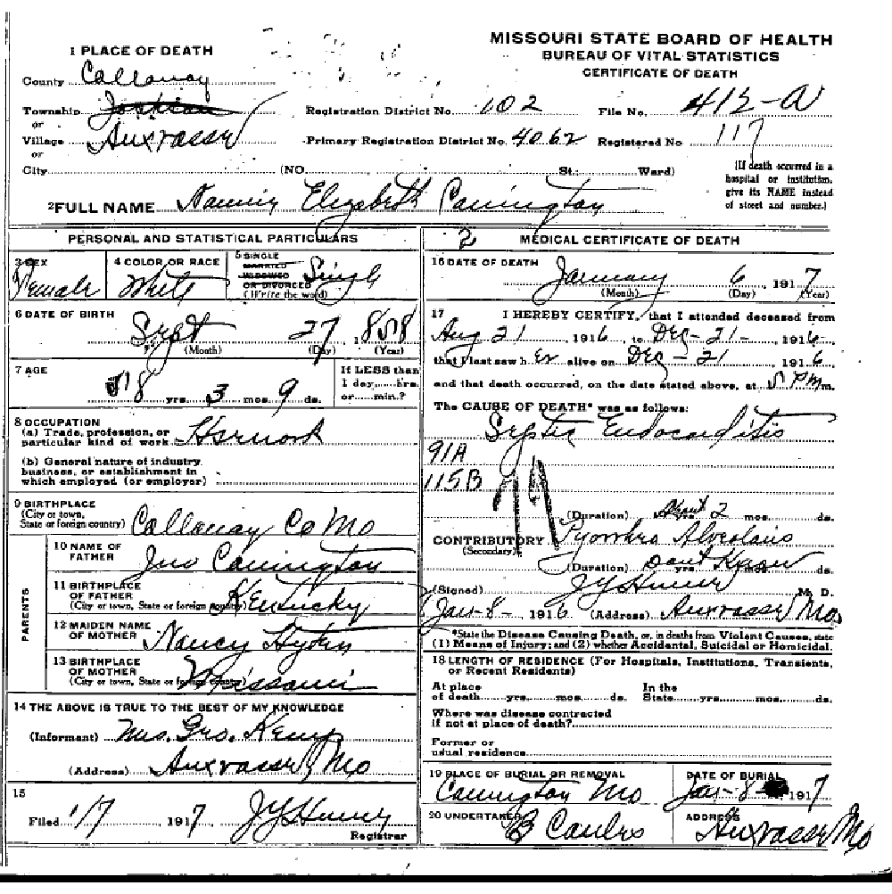 Death certificate of Carrington, Nannie Elizabeth