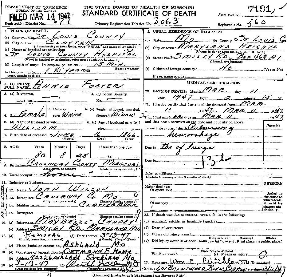 Death Certificate of Foster, Annie Lee Wilson
