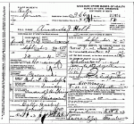Death certificate of Holt, Amanda J. Randolph