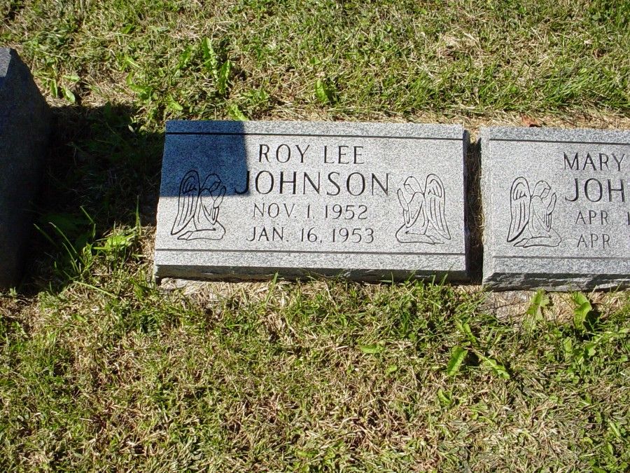  Roy Lee Johnson
