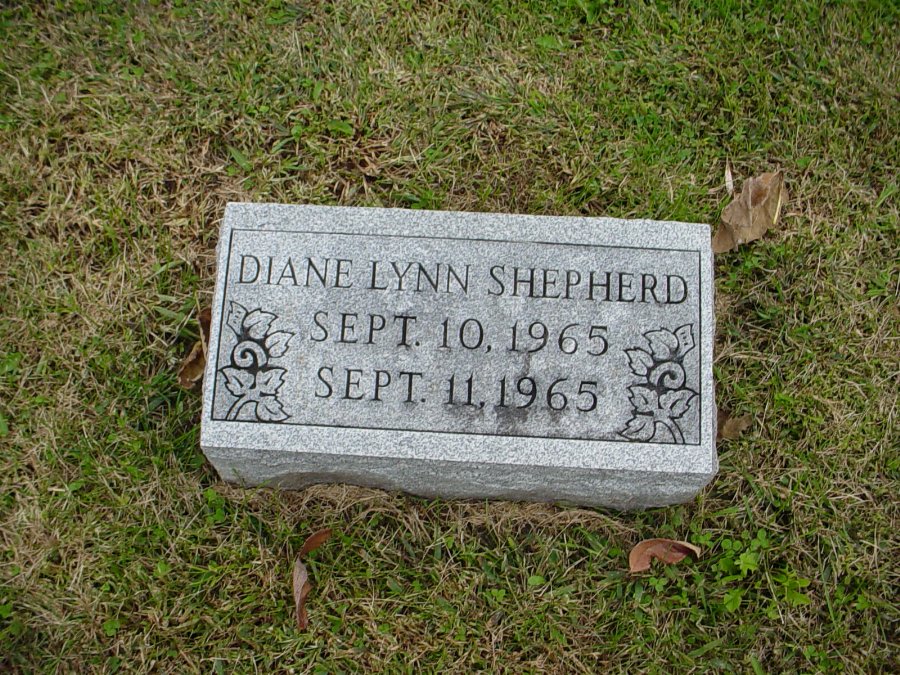  Diane Lynn Shepherd