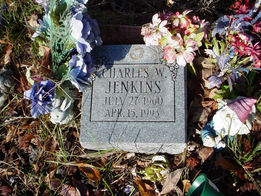  Charles W. Jenkins Headstone Photo, Auxvasse Cemetery, Callaway County genealogy
