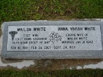  Wailon White