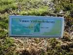 Vernon VanEngelenhoven Vernon VanEngelenhoven