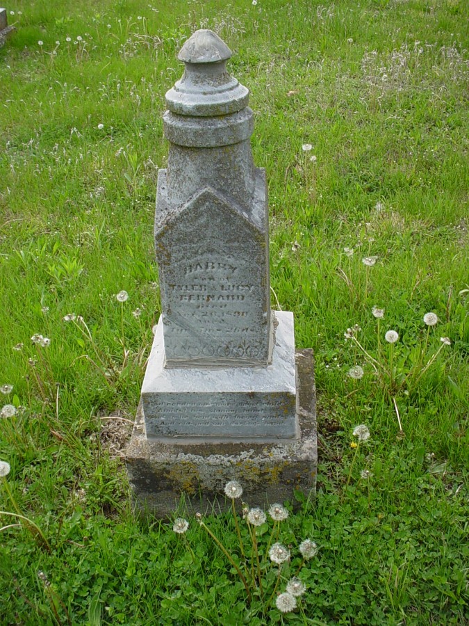  Harry Bernard Headstone Photo, Bachelor Cemetery, Callaway County genealogy