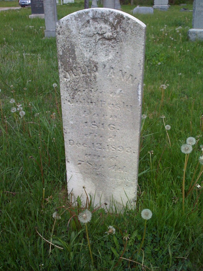  Julia Ann Pasley Headstone Photo, Bachelor Cemetery, Callaway County genealogy