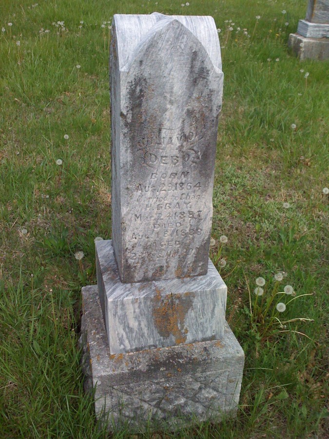  Julia V. Debo Gray Headstone Photo, Bachelor Cemetery, Callaway County genealogy