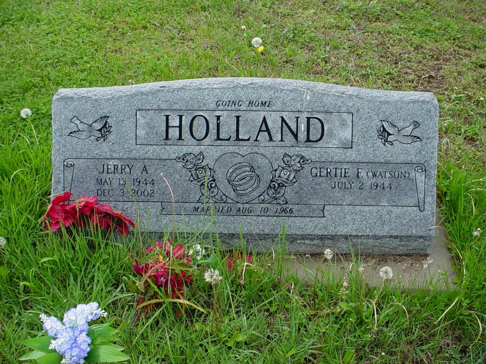  Jerry Albert Holland Headstone Photo, Bull Cemetery, Callaway County genealogy