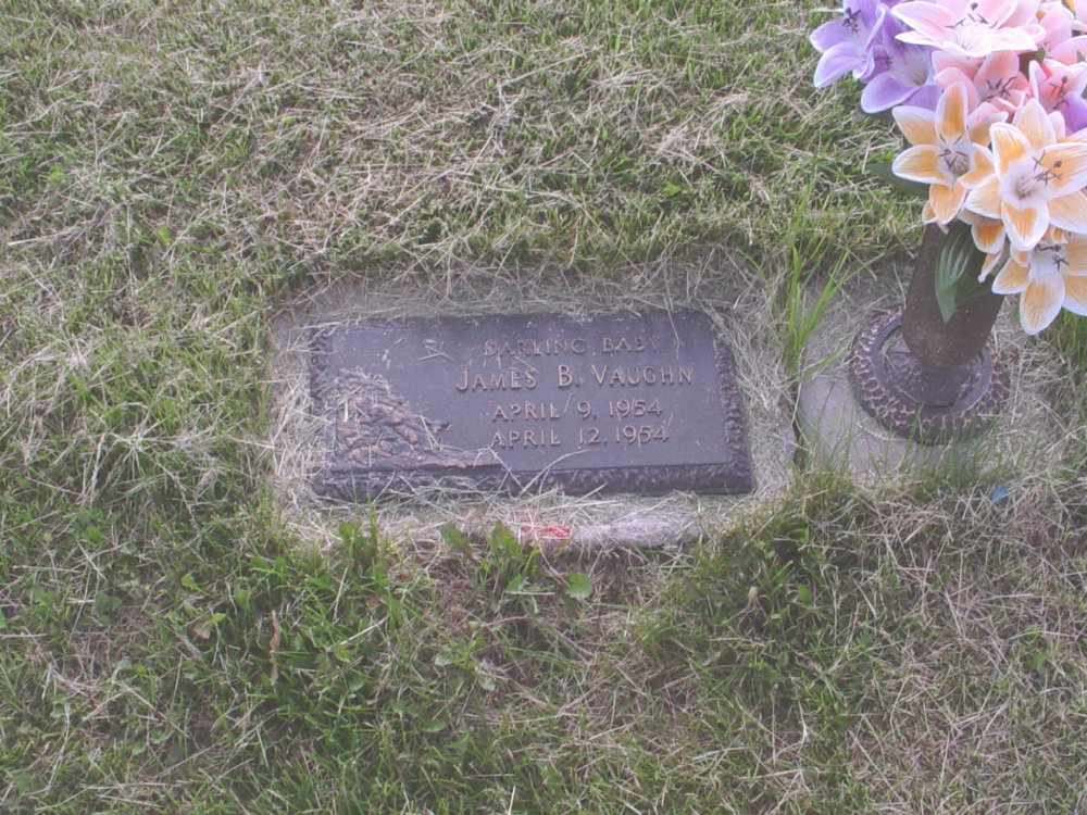  James Bradley Vaughn Headstone Photo, Callaway Memorial Gardens, Callaway County genealogy