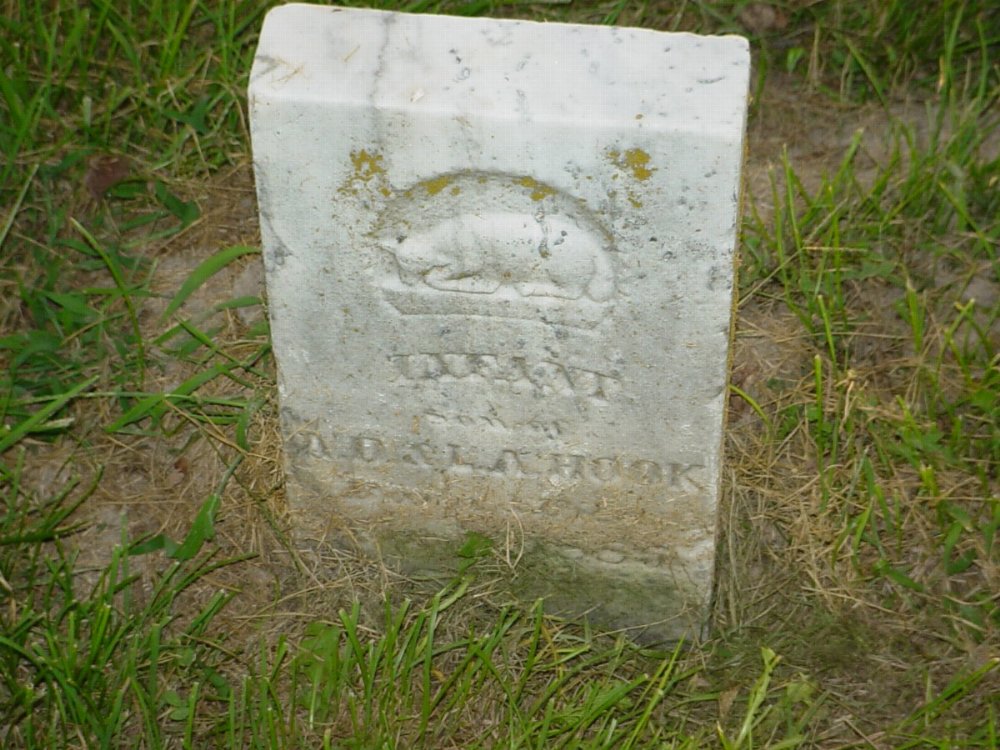  infant Hook Headstone Photo, Carrington Baptist Church Cemetery, Callaway County genealogy