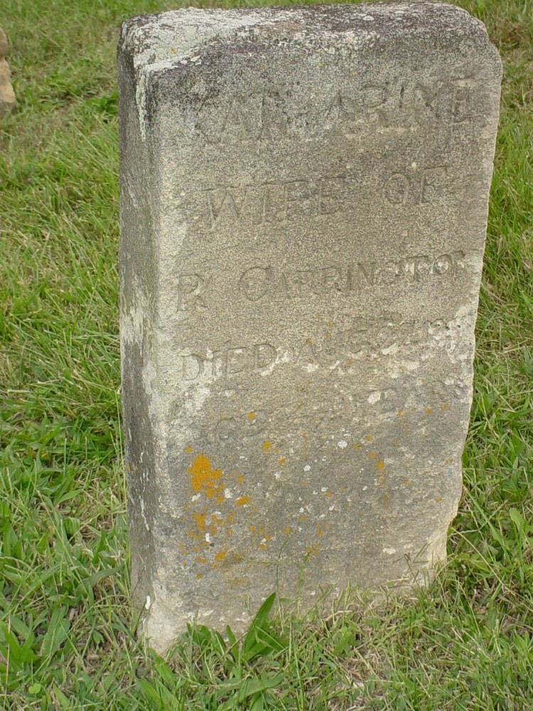  Katharine McGary Carrington Headstone Photo, Carrington Baptist Church Cemetery, Callaway County genealogy