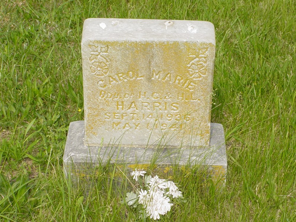  Carol Marie Harris Headstone Photo, Central Christian Church Cemetery, Callaway County genealogy