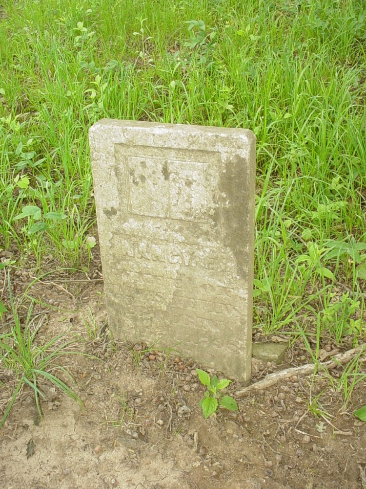  Nancy McCutchen Nevins Headstone Photo, Criswell Cemetery, Callaway County genealogy