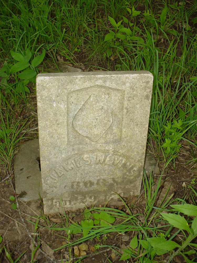  James Nevins Headstone Photo, Criswell Cemetery, Callaway County genealogy