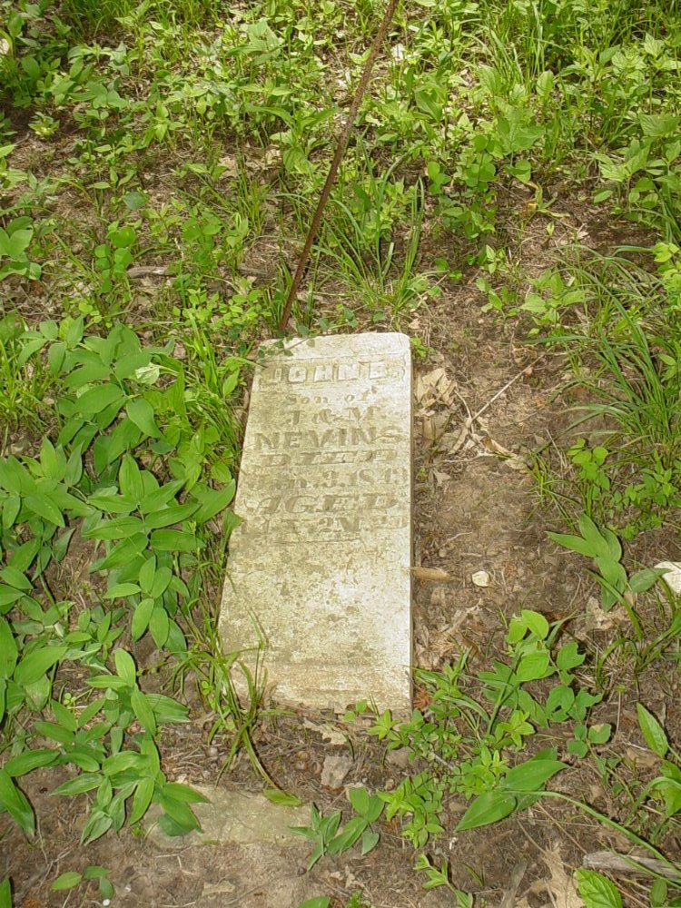  John B. Nevins Headstone Photo, Criswell Cemetery, Callaway County genealogy