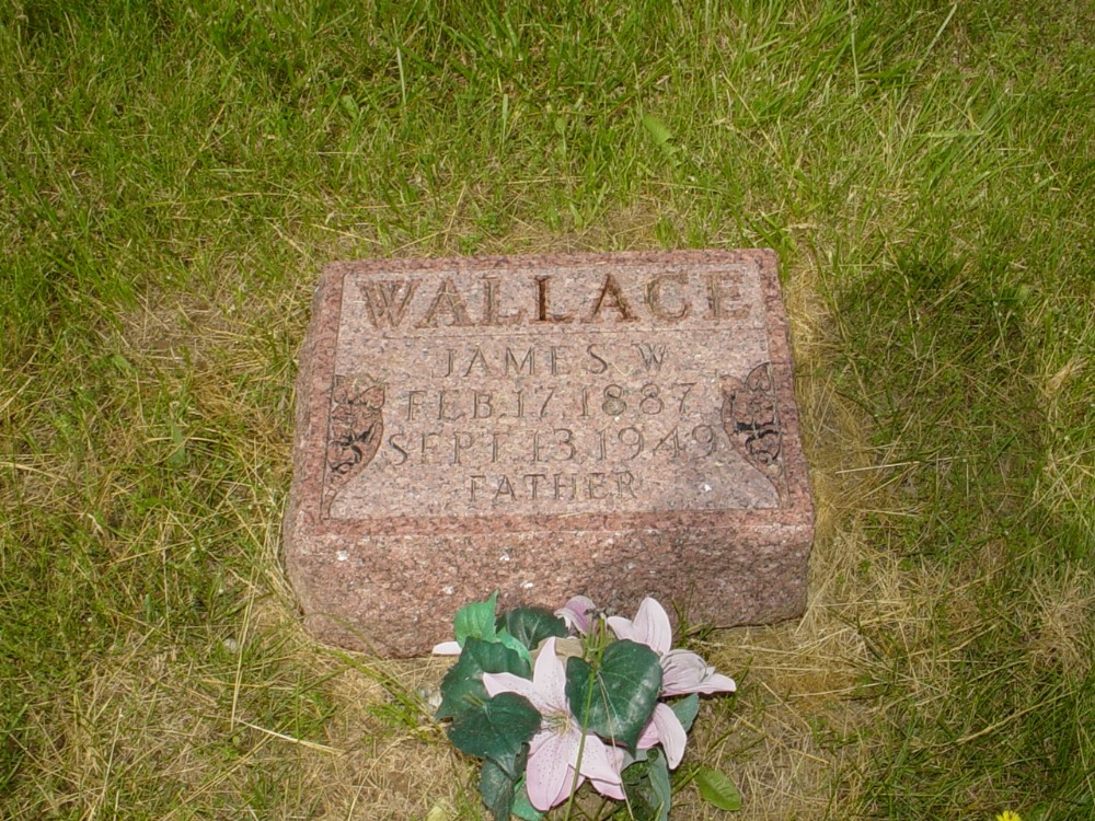  James W. Wallace Headstone Photo, Old Prospect Methodist Cemetery, Callaway County genealogy