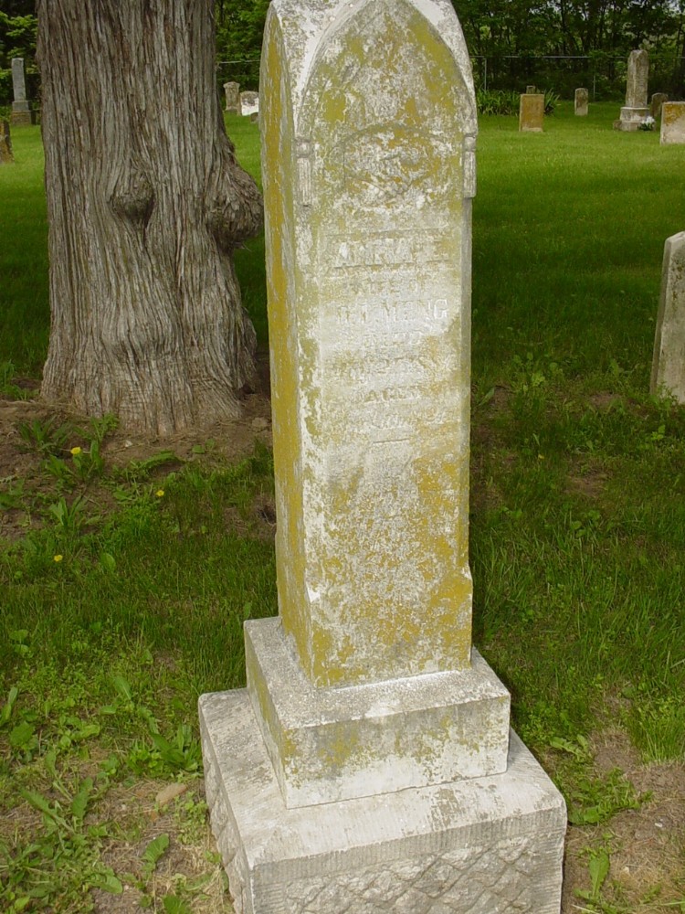  Anne E. Meng Headstone Photo, Old Prospect Methodist Cemetery, Callaway County genealogy