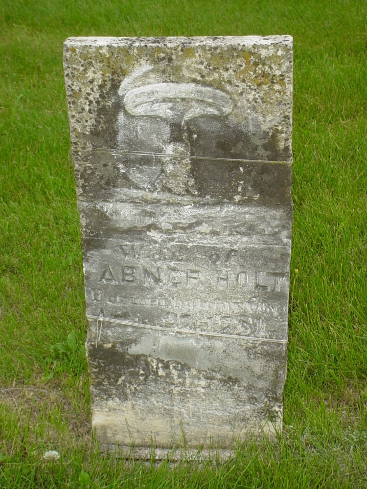  Elizabeth Brooks Holt Headstone Photo, Old Prospect Methodist Cemetery, Callaway County genealogy