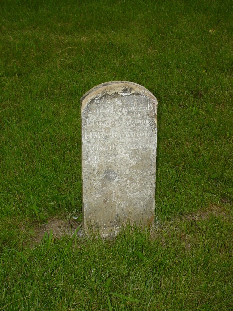  Elizabeth Jane Holt Headstone Photo, Old Prospect Methodist Cemetery, Callaway County genealogy