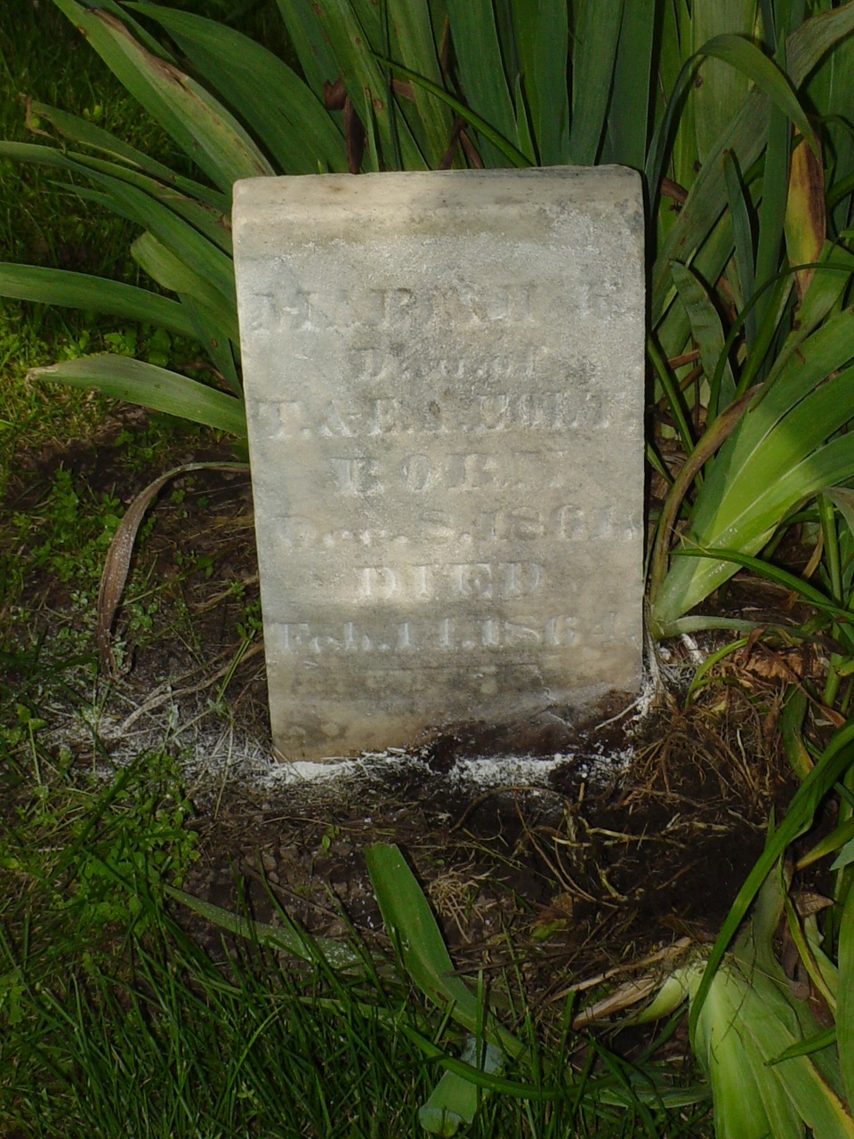  Mariah E. Holt Headstone Photo, Old Prospect Methodist Cemetery, Callaway County genealogy