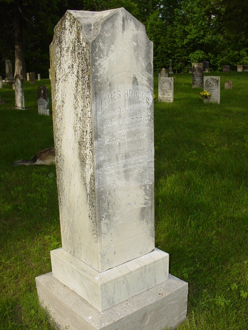  James Brooks Jr. Headstone Photo, Old Prospect Methodist Cemetery, Callaway County genealogy