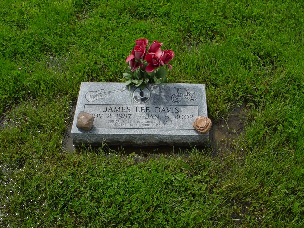  James Lee Davis Headstone Photo, Williamsburg Cemetery, Callaway County genealogy