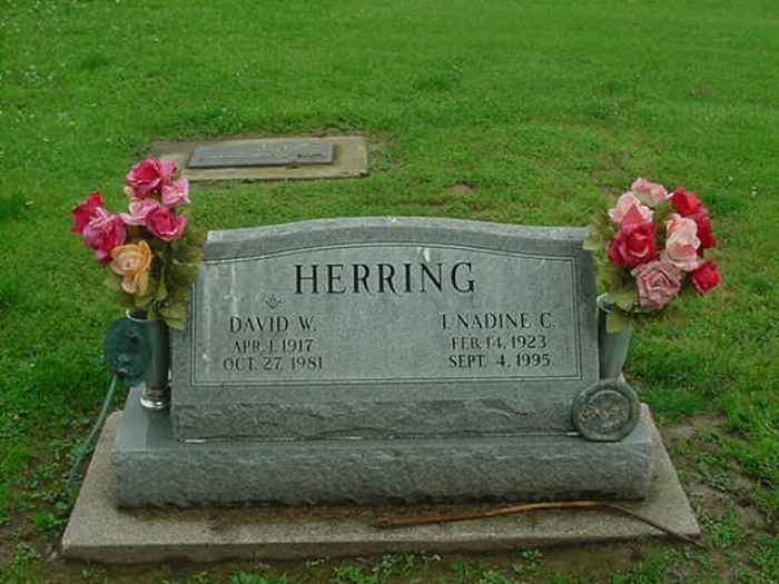  David Wilson Herring Headstone Photo, Robinson Old Cemetery, Callaway County genealogy