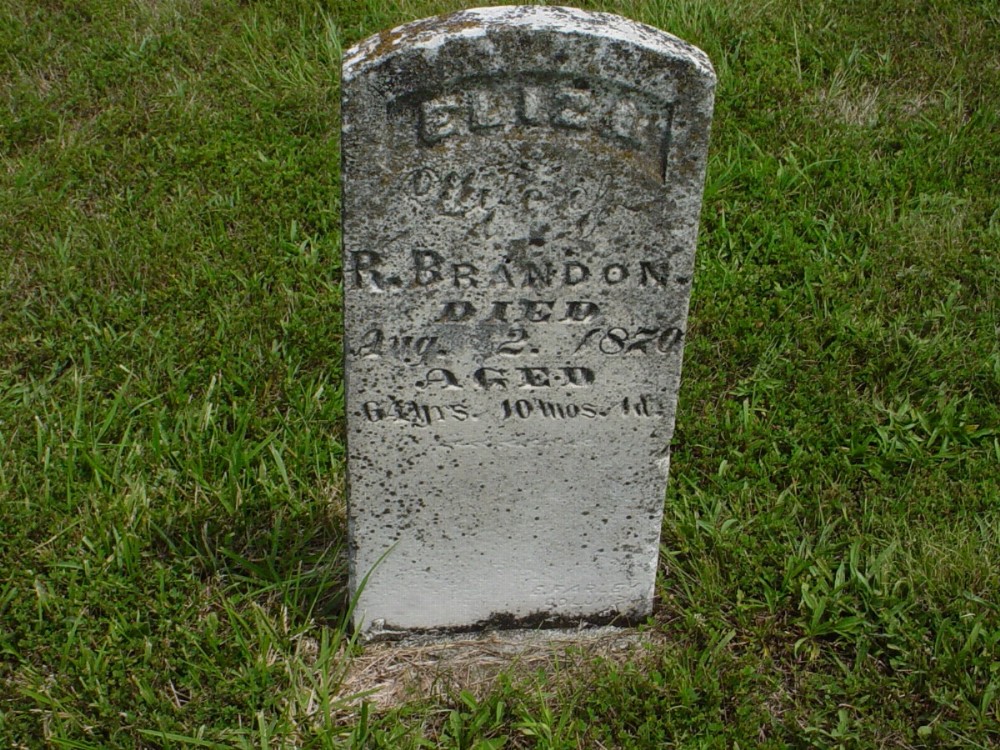 Eliza A. Newman Dozier Brandon Headstone Photo, Dry Fork Cemetery, Callaway County genealogy