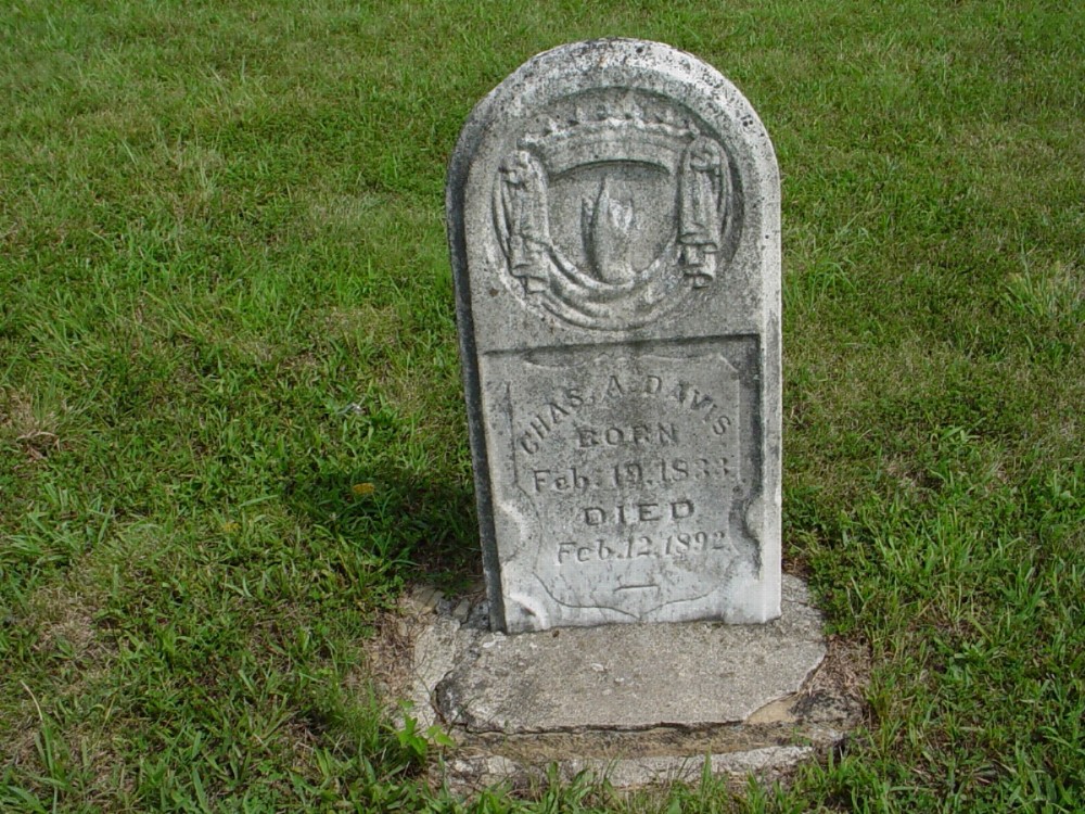  Charles A. Davis Headstone Photo, Dry Fork Cemetery, Callaway County genealogy