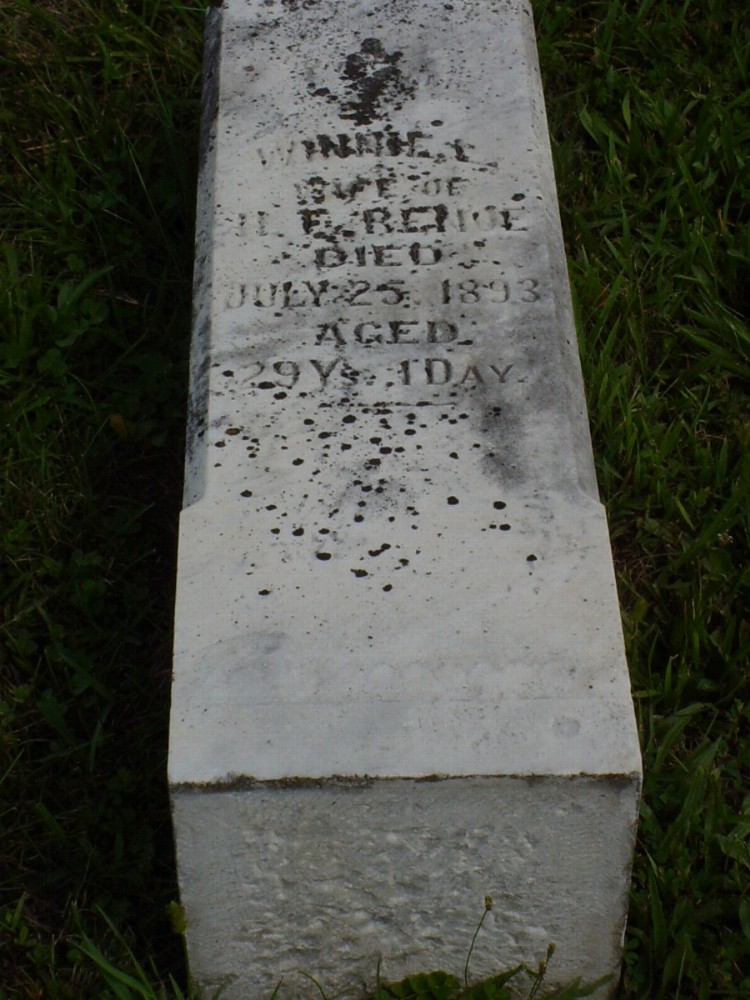  Winnie Nevins Renoe Headstone Photo, Dry Fork Cemetery, Callaway County genealogy