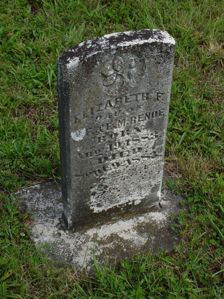  Elizabeth F. Renoe Headstone Photo, Dry Fork Cemetery, Callaway County genealogy