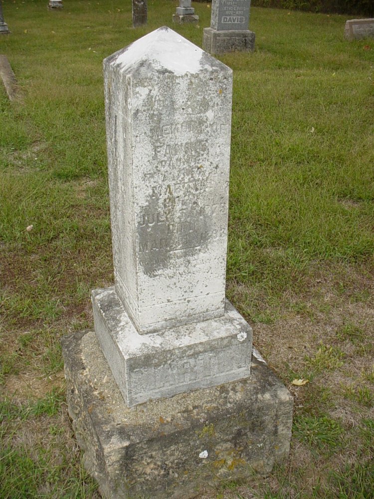  Fannie Martin Headstone Photo, Ebenezer Baptist Church Cemetery, Callaway County genealogy