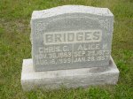  Christopher and Alice Bridges