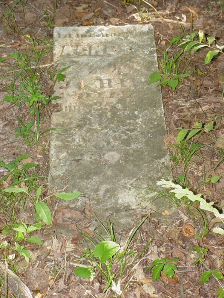  Agnes Brockman Hill Headstone Photo, Fletcher - Hill Cemetery, Callaway County genealogy