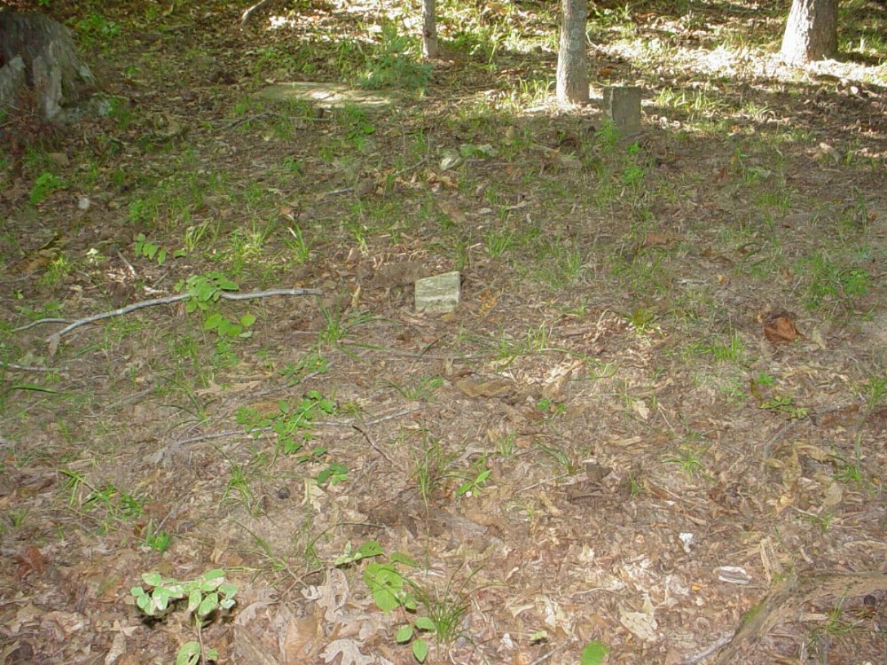  Fletcher Hill Cemetery Headstone Photo, Fletcher - Hill Cemetery, Callaway County genealogy