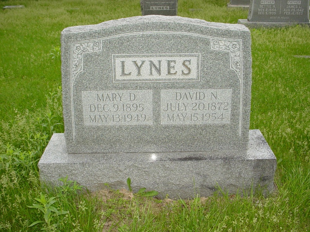  David N. Lynes and Mary D. McIntosh