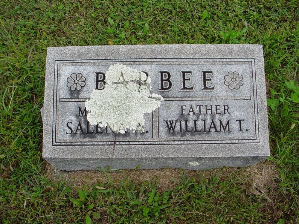  William & Salena Barbee Headstone Photo, Harmony Baptist Cemetery, Callaway County genealogy