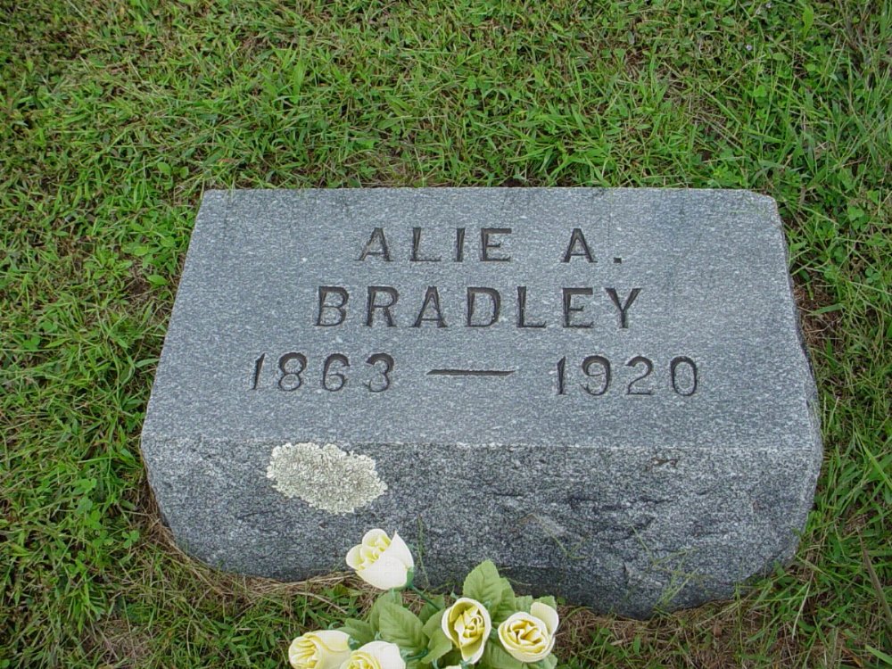  Alie Day Bradley