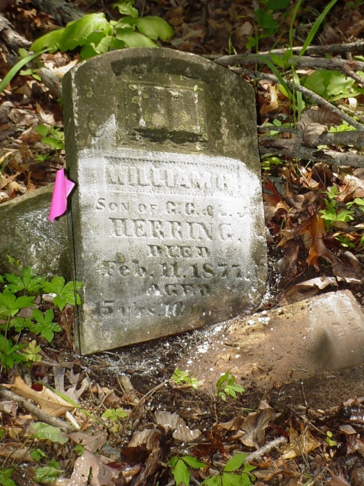  William Henry Herring