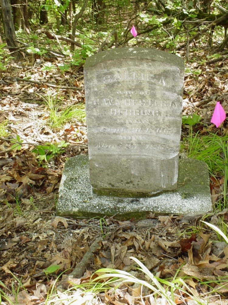  Sally A. Herring Headstone Photo, Herring Private Cemetery #2, Callaway County genealogy