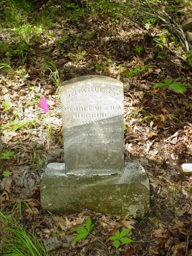  Charles P. Herring Headstone Photo, Herring Private Cemetery #2, Callaway County genealogy