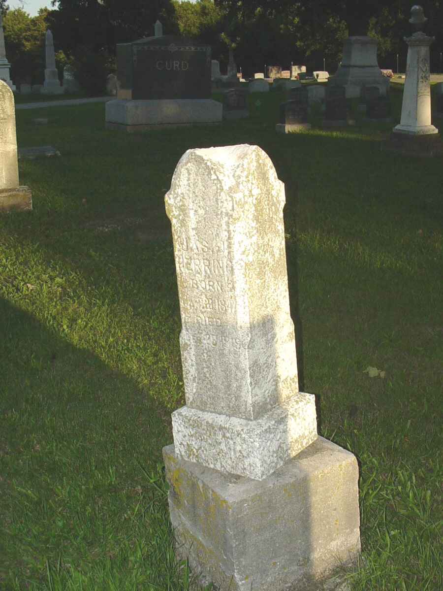  James J. Herring Headstone Photo, Hillcrest Cemetery, Callaway County genealogy