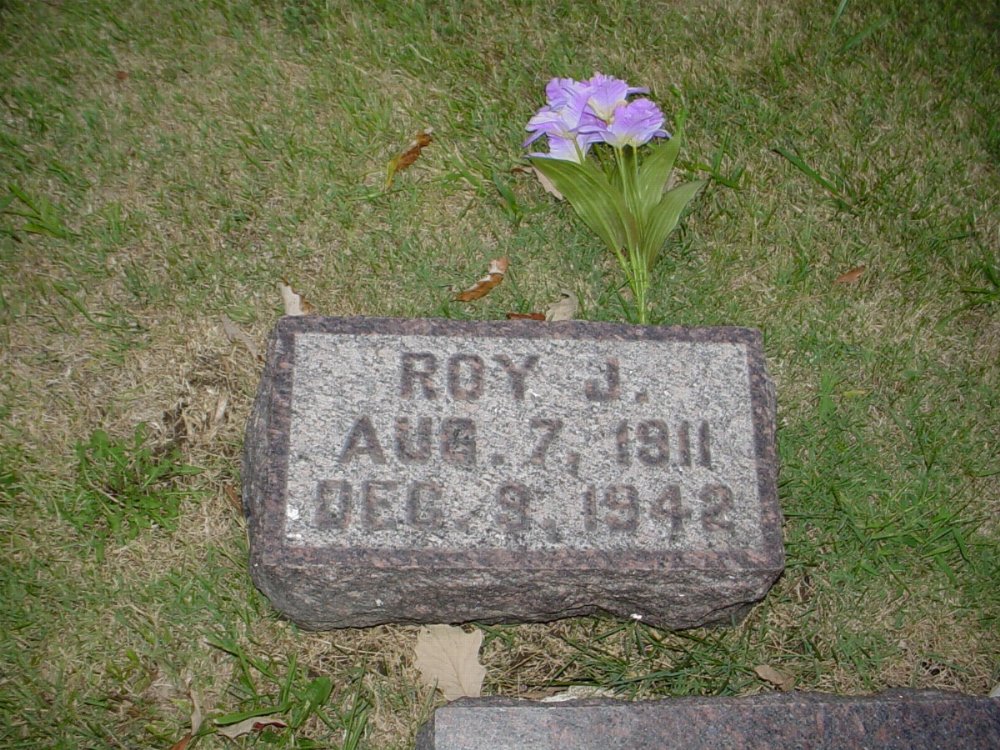  Roy J. Davis Headstone Photo, Hillcrest Cemetery, Callaway County genealogy