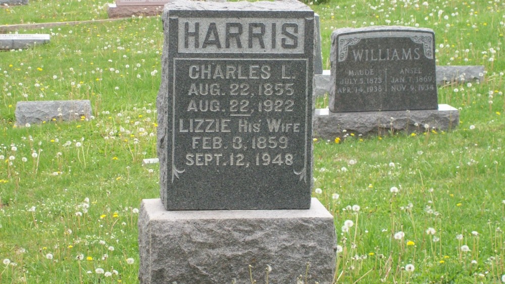  Charles L. Harris & Lizzie Robinson Headstone Photo, Hillcrest Cemetery, Callaway County genealogy