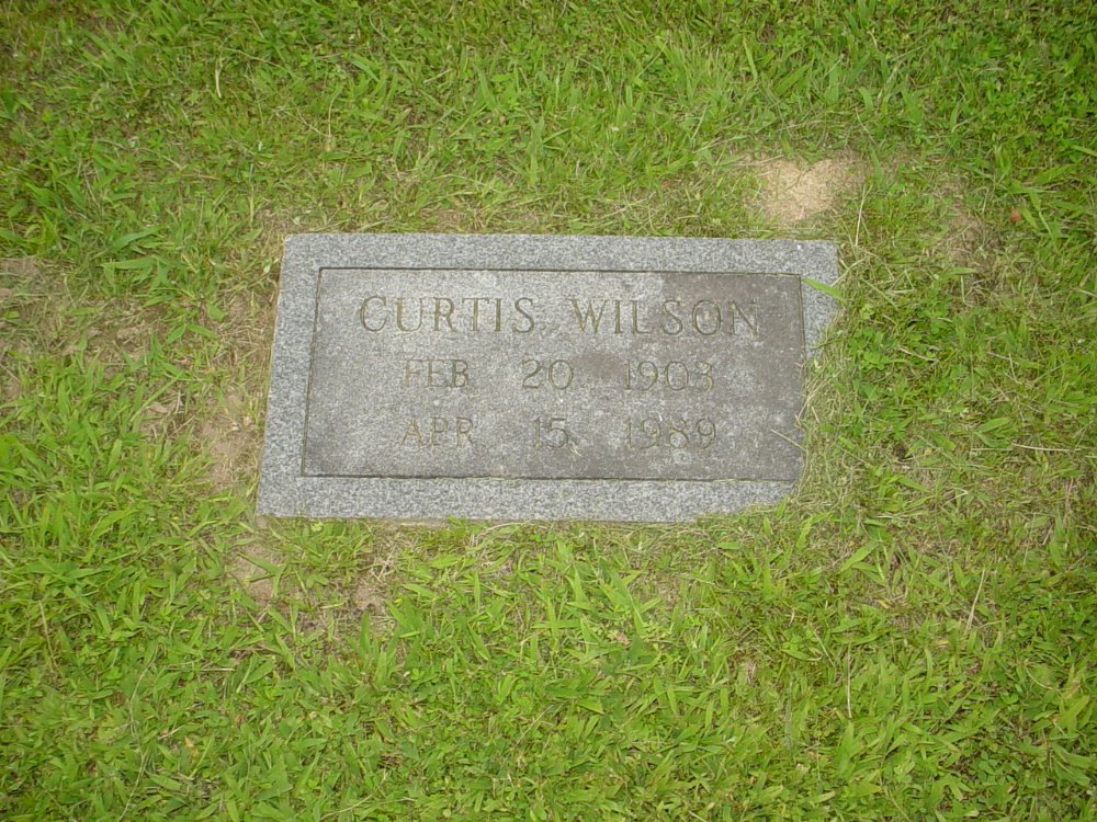  Curtis Wilson Headstone Photo, Hopewell Baptist Church, Callaway County genealogy