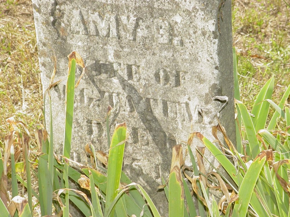  Amy Susan Chaney Tatum Headstone Photo, Meng Cemetery, Callaway County genealogy