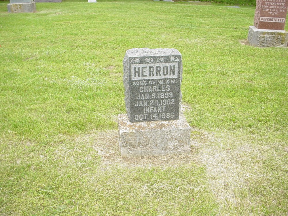  Charles and infant Herron Headstone Photo, Miller