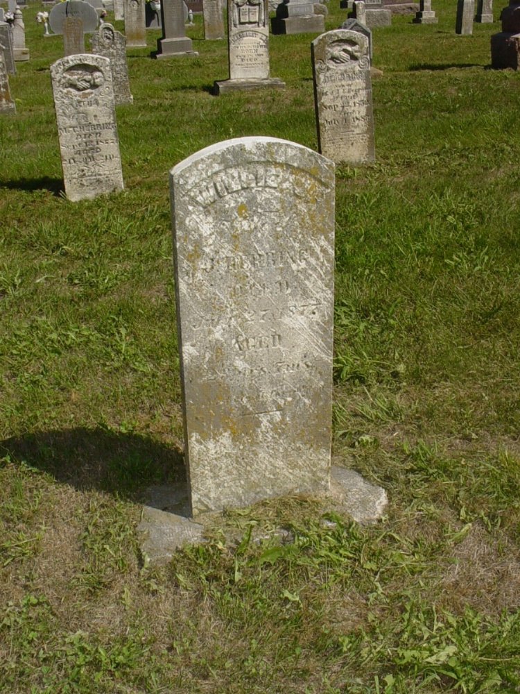  Willie Gilpin Herring Headstone Photo, Mount Carmel Cemetery, Callaway County genealogy