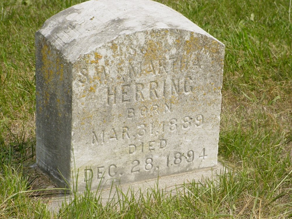  William Herring Headstone Photo, Mount Carmel Cemetery, Callaway County genealogy