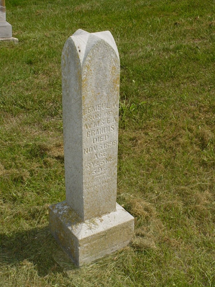  Lemeul W. Brandis Headstone Photo, Mount Carmel Cemetery, Callaway County genealogy